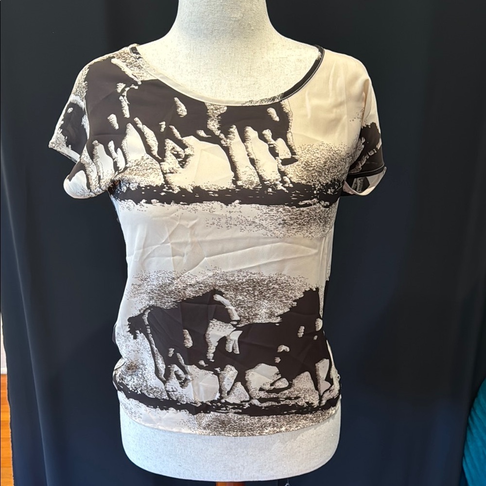 Cherrydress Galloping Horses Women's Graphic Top, medium